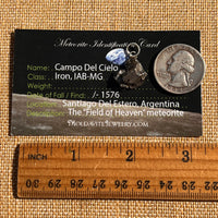 Campo Del Cielo Meteorite Pendant Sterling #7321-Moldavite Life