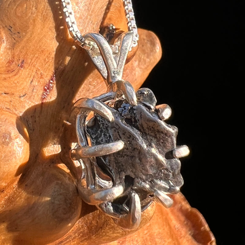 Campo Del Cielo Meteorite Pendant Sterling #7322-Moldavite Life