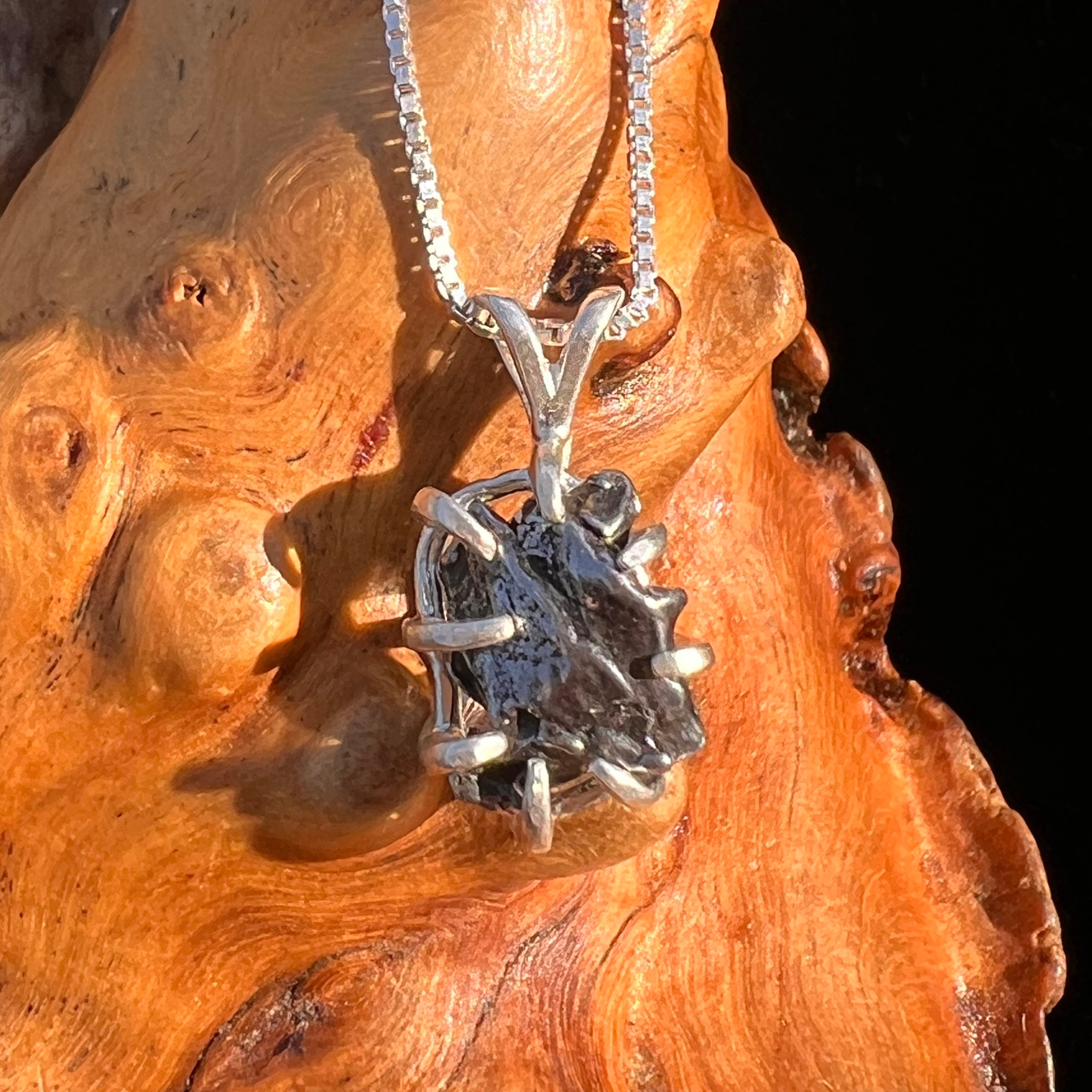 Campo Del Cielo Meteorite Pendant Sterling #7322-Moldavite Life