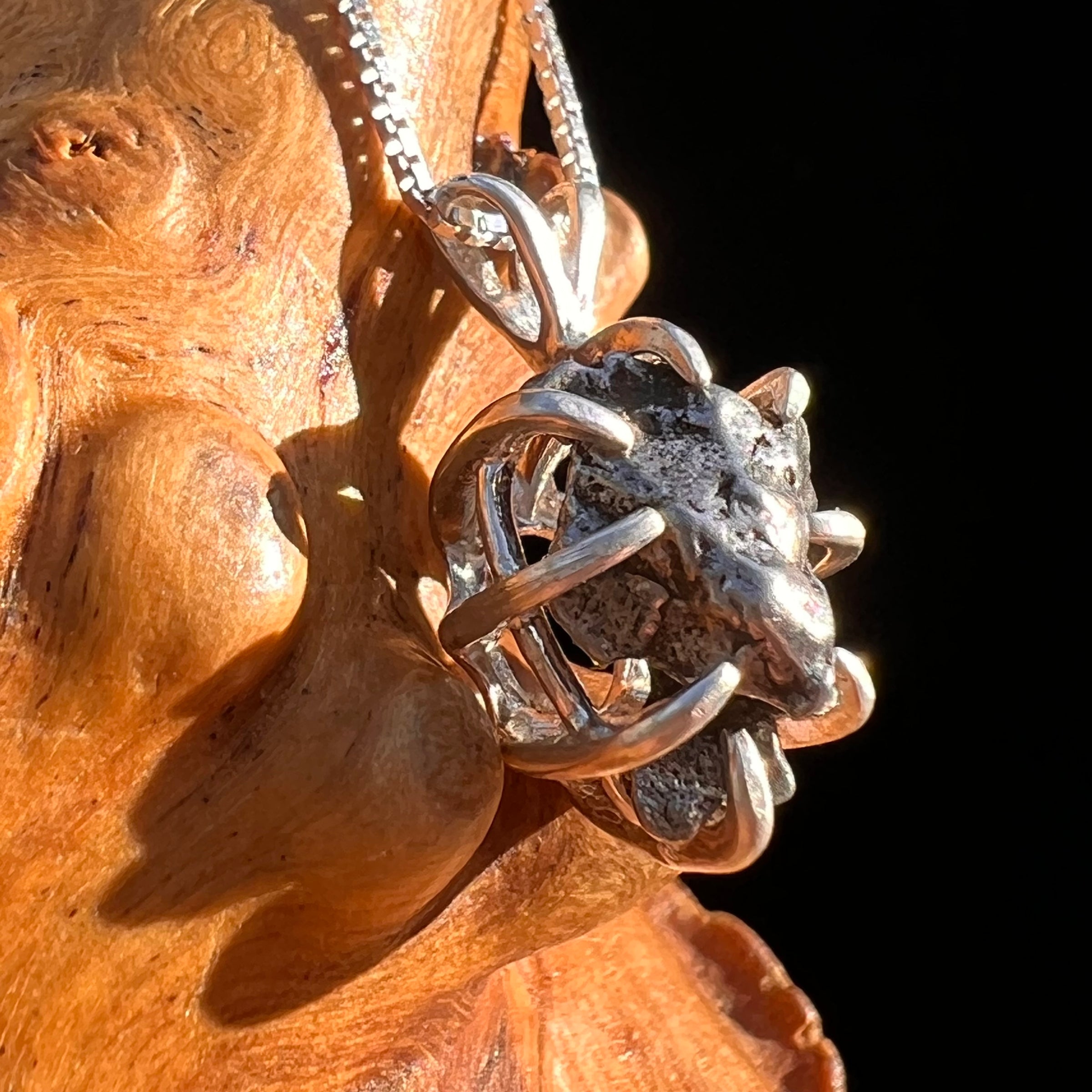 Campo Del Cielo Meteorite Pendant Sterling #7323-Moldavite Life