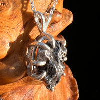 Campo Del Cielo Meteorite Pendant Sterling #7326-Moldavite Life