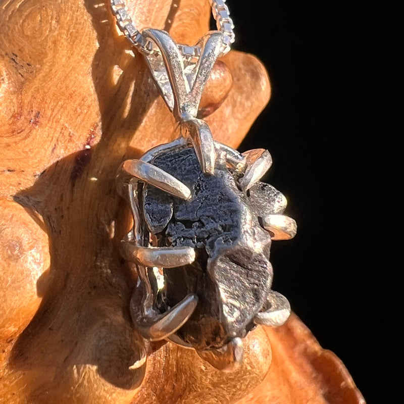 Campo Del Cielo Meteorite Pendant Sterling #7327-Moldavite Life