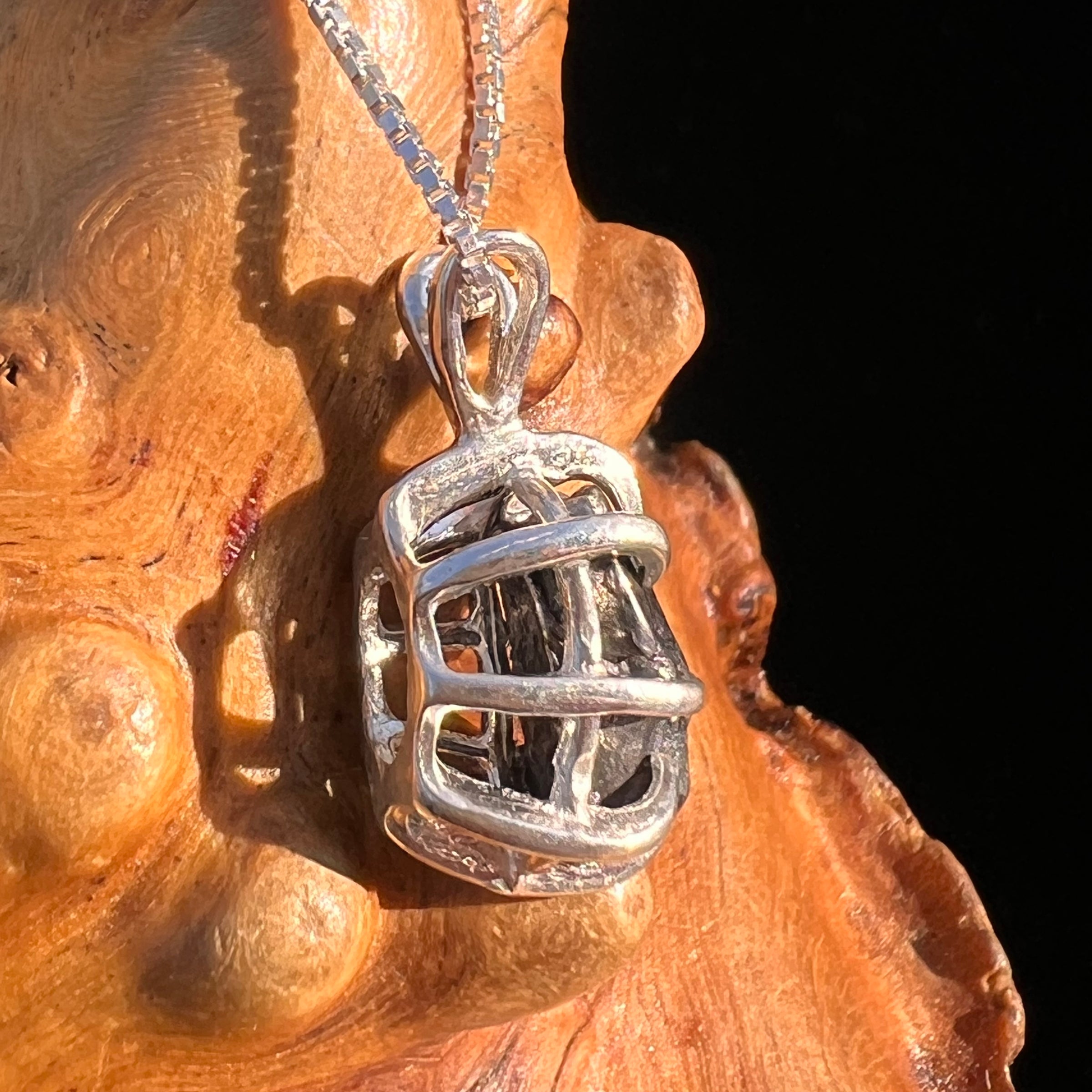 Campo Del Cielo Meteorite Pendant Sterling #7327-Moldavite Life