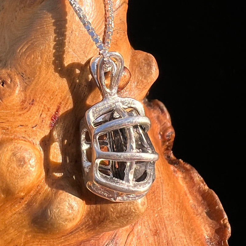 Campo Del Cielo Meteorite Pendant Sterling #7327-Moldavite Life