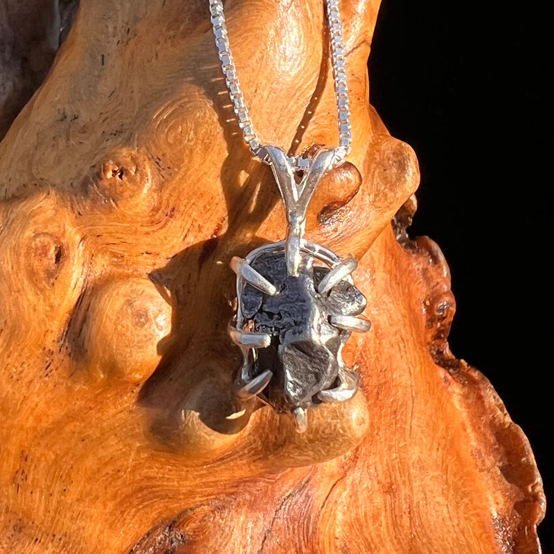 Campo Del Cielo Meteorite Pendant Sterling #7327-Moldavite Life