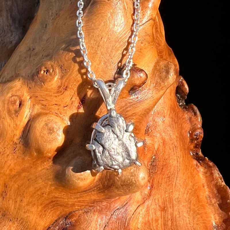 Campo Del Cielo Meteorite Pendant Sterling #7328-Moldavite Life