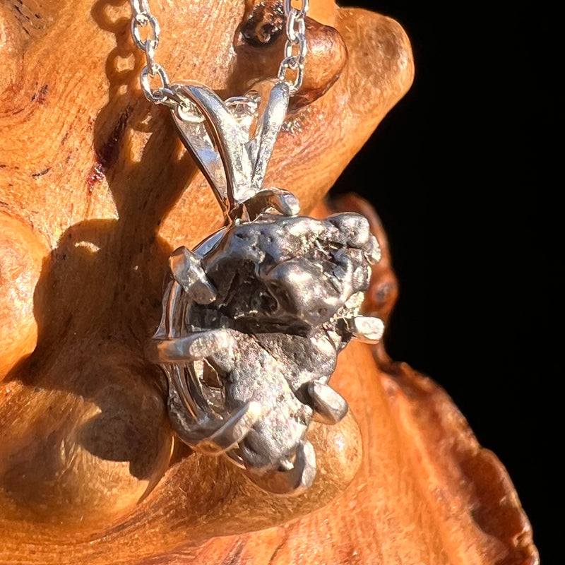 Campo Del Cielo Meteorite Pendant Sterling #7329-Moldavite Life