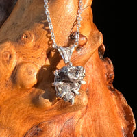 Campo Del Cielo Meteorite Pendant Sterling #7329-Moldavite Life