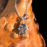 Campo Del Cielo Meteorite Pendant Sterling #7332-Moldavite Life