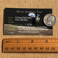 Campo Del Cielo Meteorite Pendant Sterling #7334-Moldavite Life