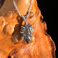 Campo Del Cielo Meteorite Pendant Sterling #7335-Moldavite Life