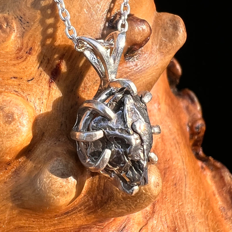Campo Del Cielo Meteorite Pendant Sterling #7336-Moldavite Life