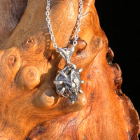Campo Del Cielo Meteorite Pendant Sterling #7336-Moldavite Life