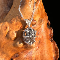 Campo Del Cielo Meteorite Pendant Sterling #7337-Moldavite Life