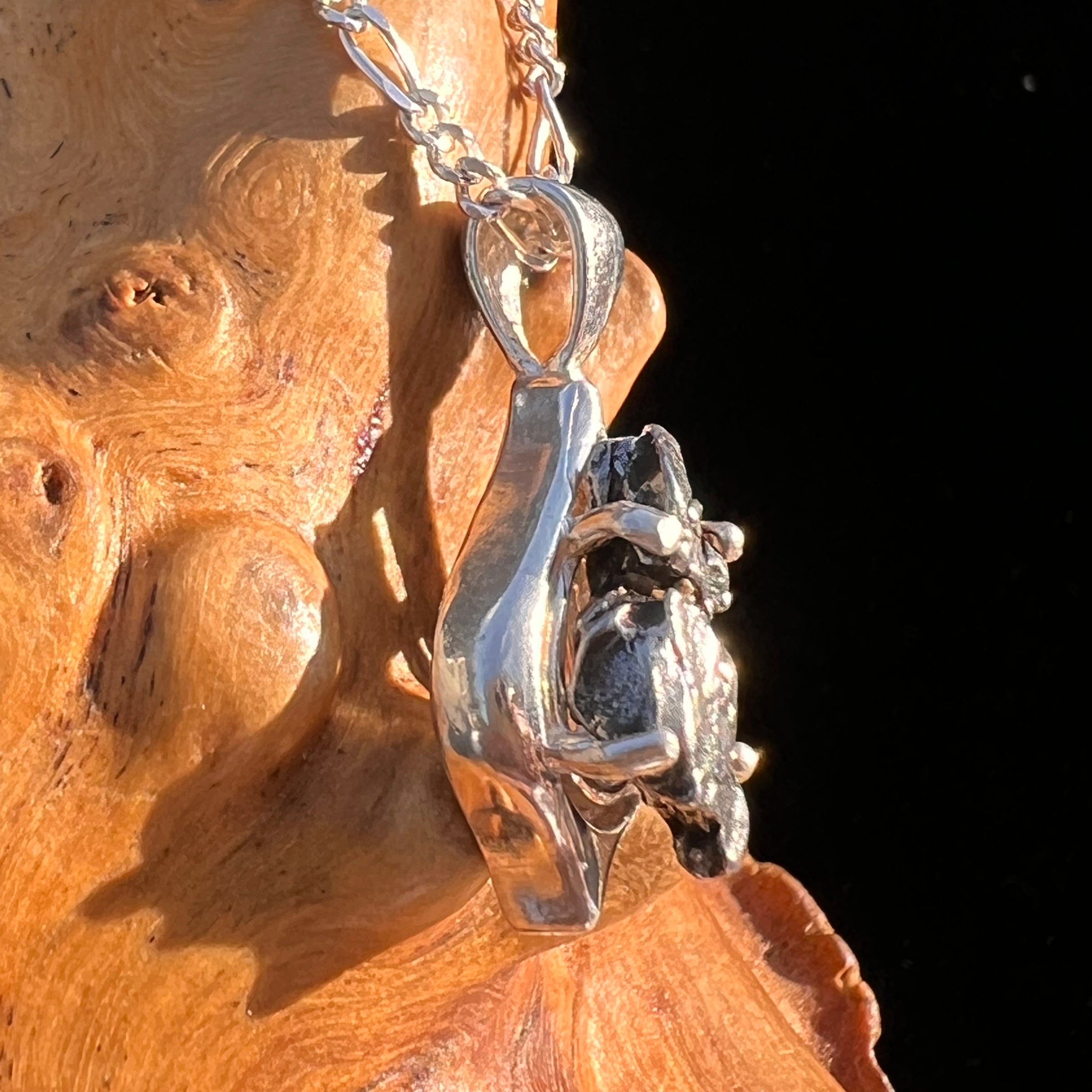 Campo Del Cielo Meteorite Pendant Sterling #7341-Moldavite Life