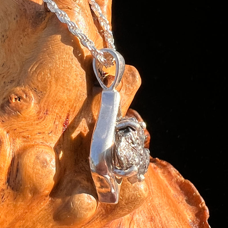 Campo Del Cielo Meteorite Pendant Sterling #7342-Moldavite Life