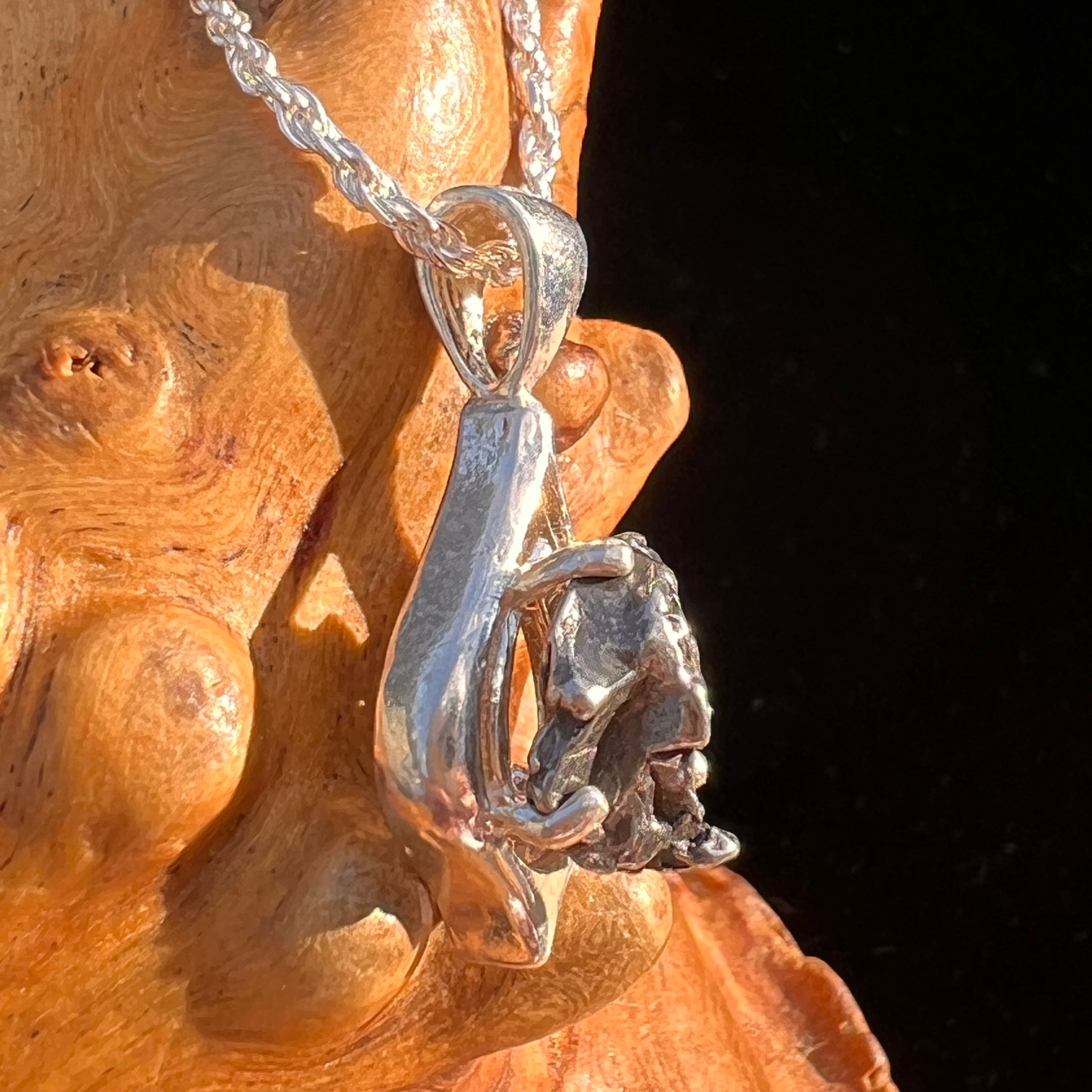 Campo Del Cielo Meteorite Pendant Sterling #7346-Moldavite Life