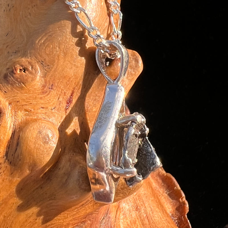 Campo Del Cielo Meteorite Pendant Sterling #7347-Moldavite Life