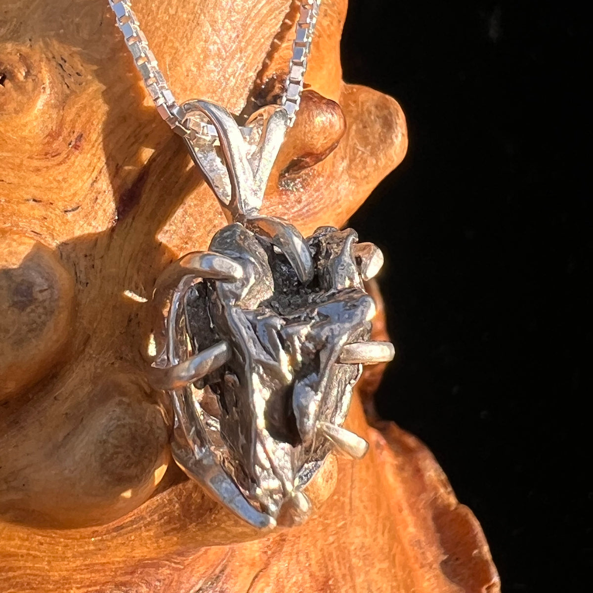 Campo Del Cielo Meteorite Pendant Sterling #7348-Moldavite Life