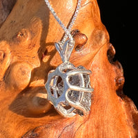 Campo Del Cielo Meteorite Pendant Sterling #7348-Moldavite Life