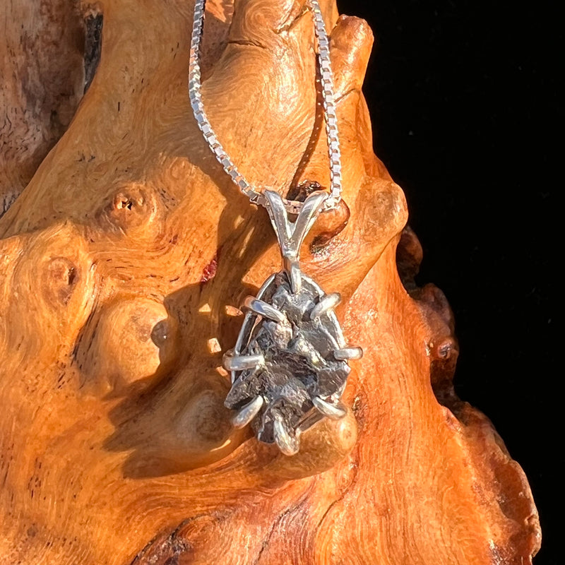 Campo Del Cielo Meteorite Pendant Sterling #7349-Moldavite Life