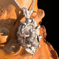 Campo Del Cielo Meteorite Pendant Sterling #7350-Moldavite Life