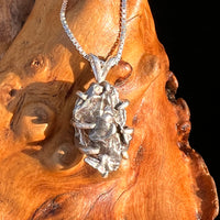 Campo Del Cielo Meteorite Pendant Sterling #7350-Moldavite Life