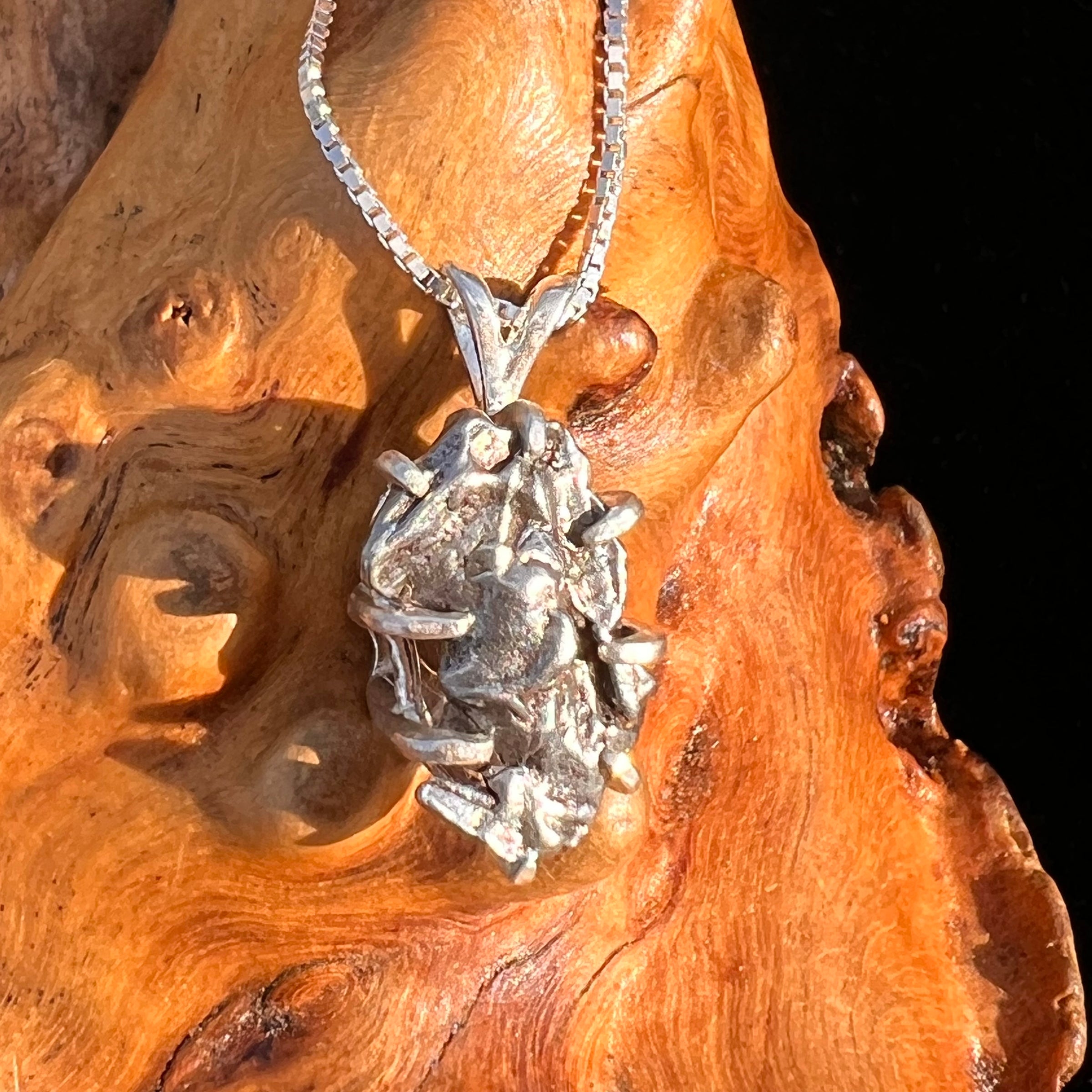 Campo Del Cielo Meteorite Pendant Sterling #7350-Moldavite Life