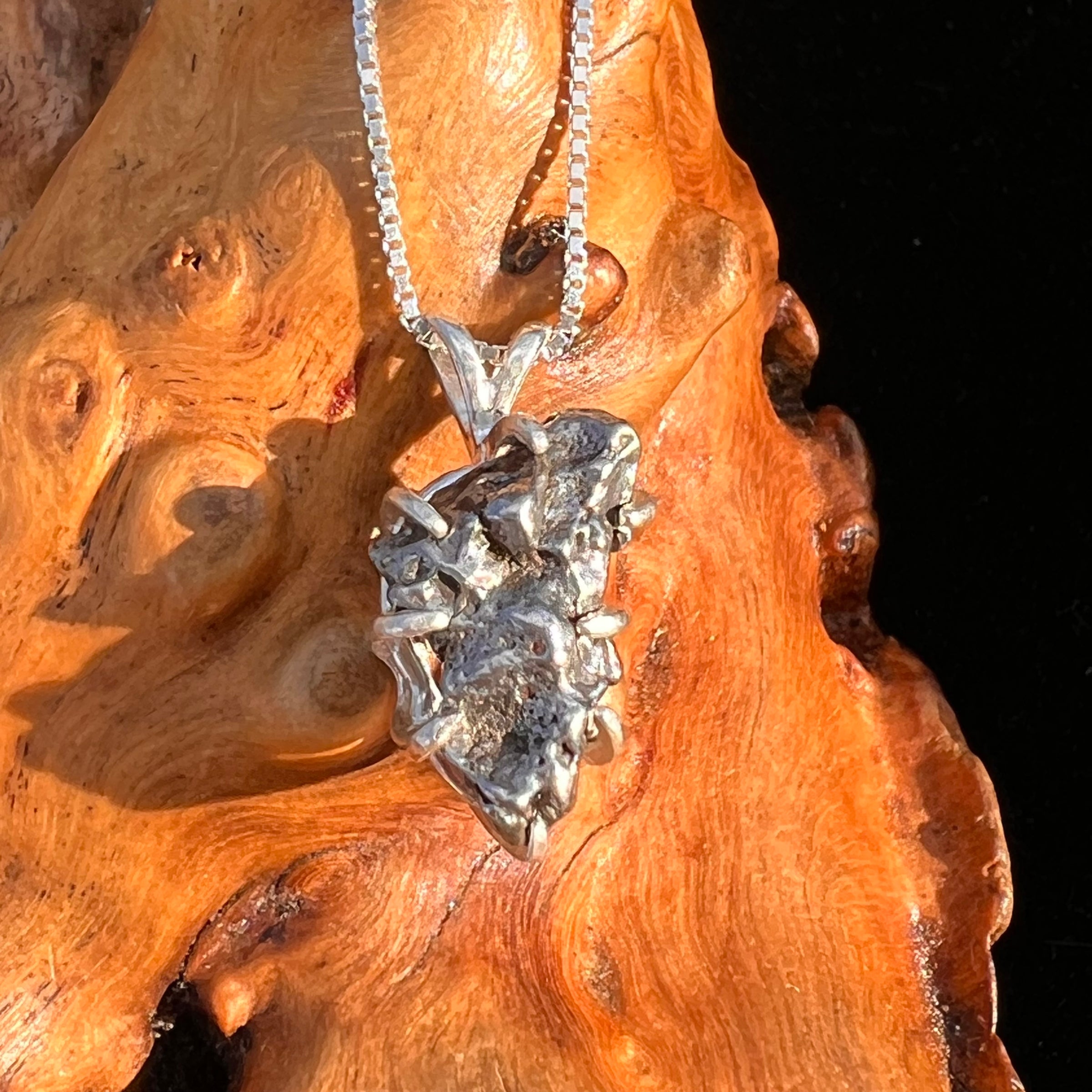 Campo Del Cielo Meteorite Pendant Sterling #7351-Moldavite Life