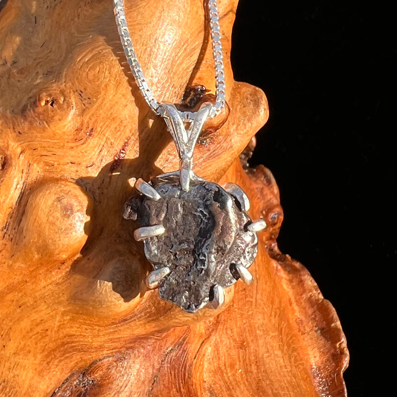 Campo Del Cielo Meteorite Pendant Sterling #7352-Moldavite Life