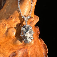 Campo Del Cielo Meteorite Pendant Sterling #7353-Moldavite Life