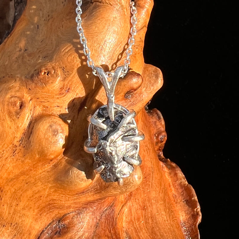 Campo Del Cielo Meteorite Pendant Sterling #7353-Moldavite Life
