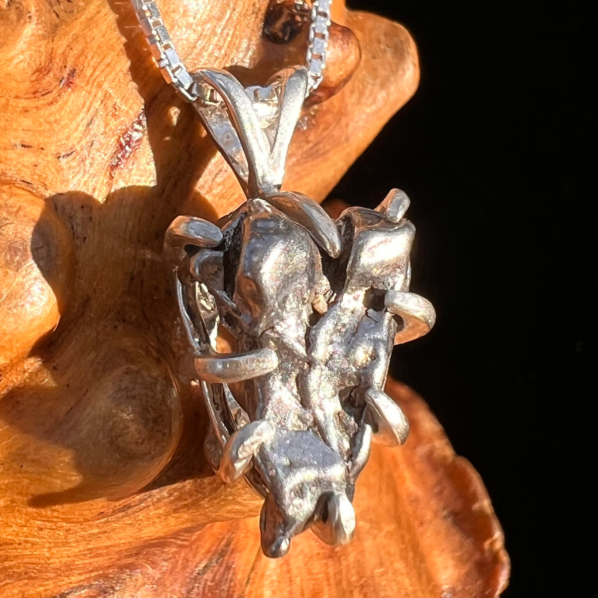 Campo Del Cielo Meteorite Pendant Sterling #7354-Moldavite Life