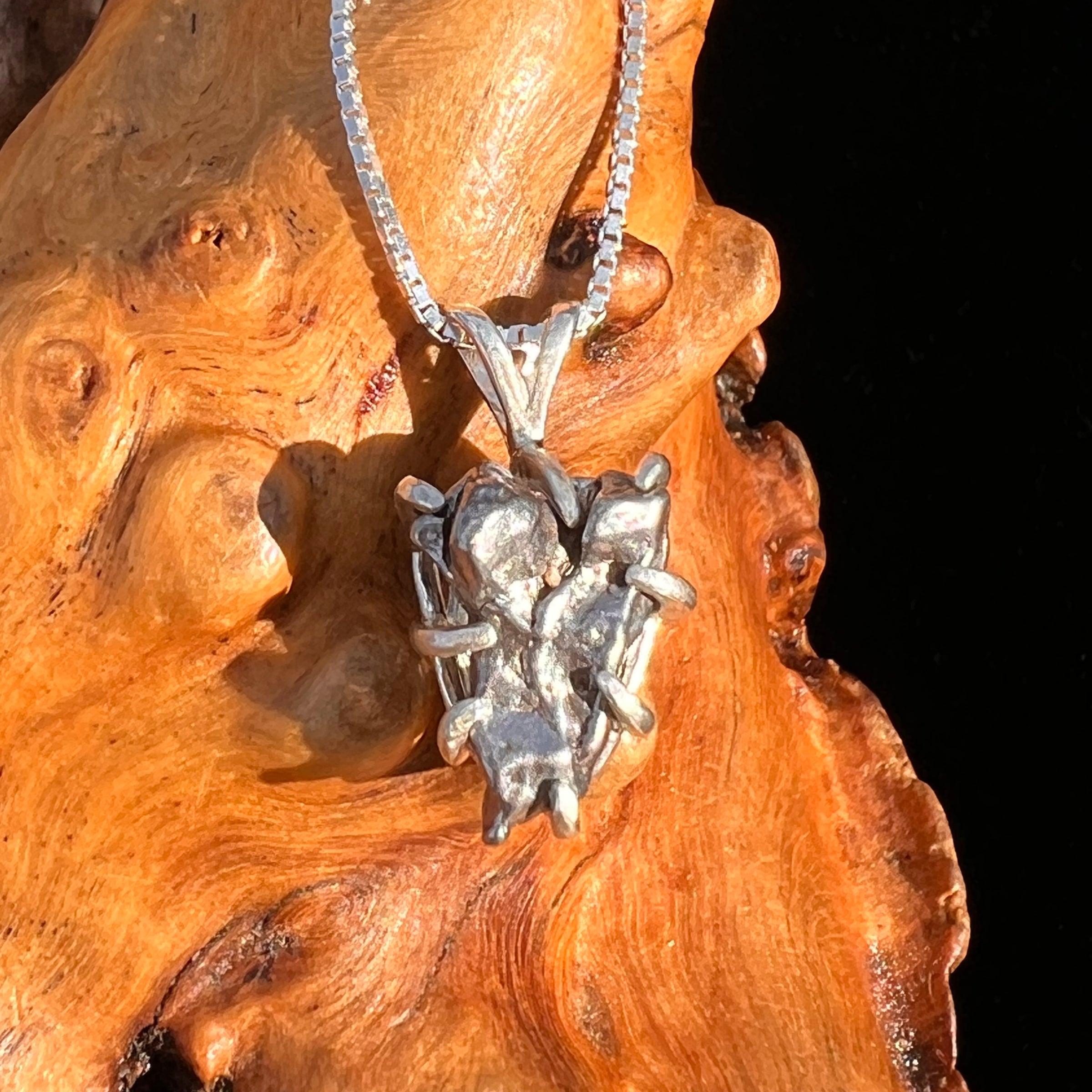 Campo Del Cielo Meteorite Pendant Sterling #7354-Moldavite Life