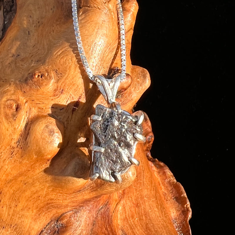 Campo Del Cielo Meteorite Pendant Sterling #7355-Moldavite Life