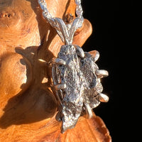 Campo Del Cielo Meteorite Pendant Sterling #7356-Moldavite Life