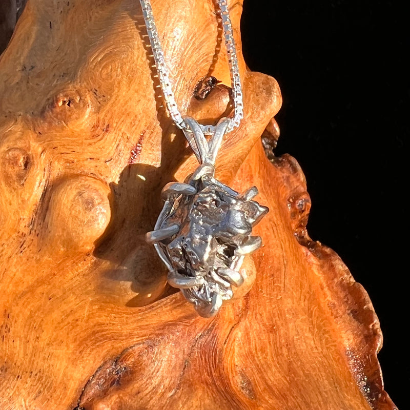 Campo Del Cielo Meteorite Pendant Sterling #7357-Moldavite Life