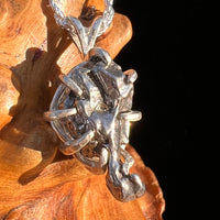 Campo Del Cielo Meteorite Pendant Sterling #7358-Moldavite Life