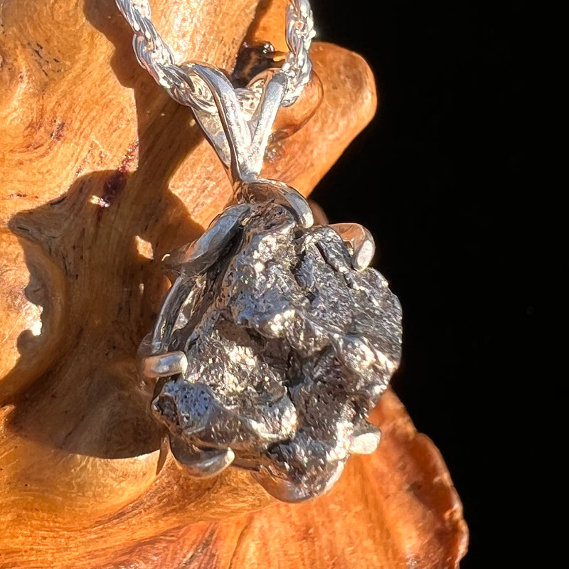 Campo Del Cielo Meteorite Pendant Sterling #7359-Moldavite Life