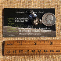 Campo Del Cielo Meteorite Pendant Sterling #7360-Moldavite Life
