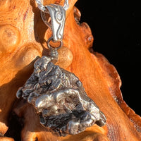 Campo Del Cielo Meteorite Pendant Sterling #7361-Moldavite Life