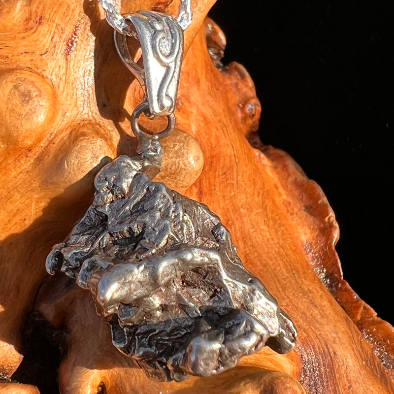 Campo Del Cielo Meteorite Pendant Sterling #7361-Moldavite Life