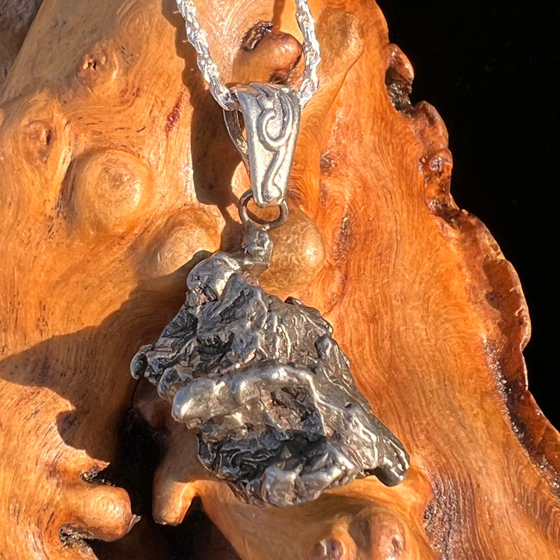 Campo Del Cielo Meteorite Pendant Sterling #7361-Moldavite Life