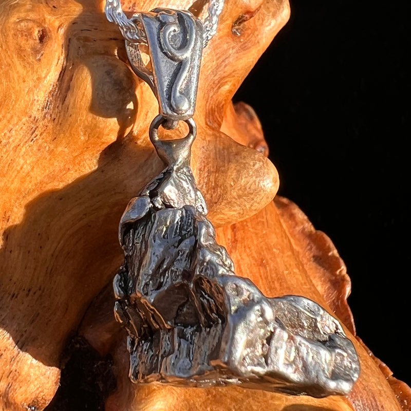 Campo Del Cielo Meteorite Pendant Sterling #7363-Moldavite Life