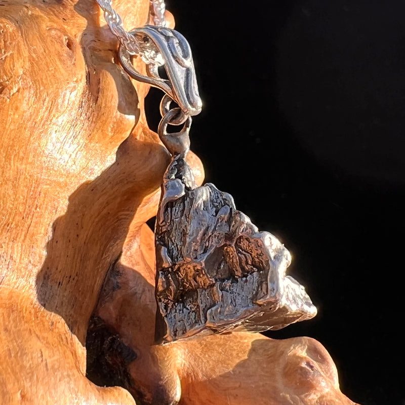 Campo Del Cielo Meteorite Pendant Sterling #7363-Moldavite Life