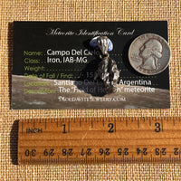 Campo Del Cielo Meteorite Pendant Sterling #7364-Moldavite Life