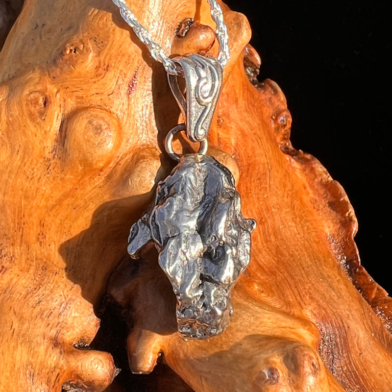 Campo Del Cielo Meteorite Pendant Sterling #7364-Moldavite Life