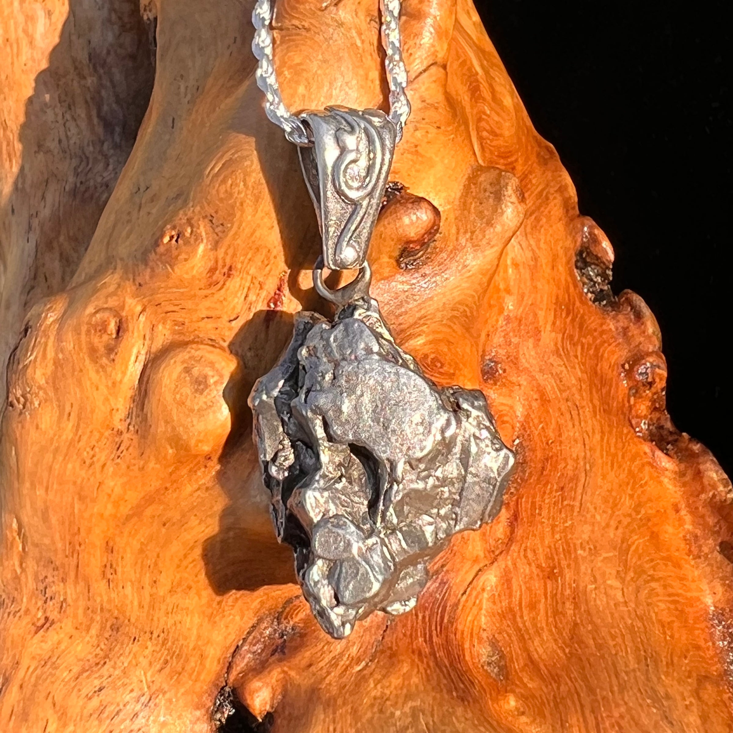 Campo Del Cielo Meteorite Pendant Sterling #7365-Moldavite Life