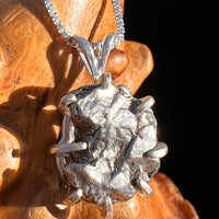 Campo Del Cielo Meteorite Pendant Sterling #7366-Moldavite Life