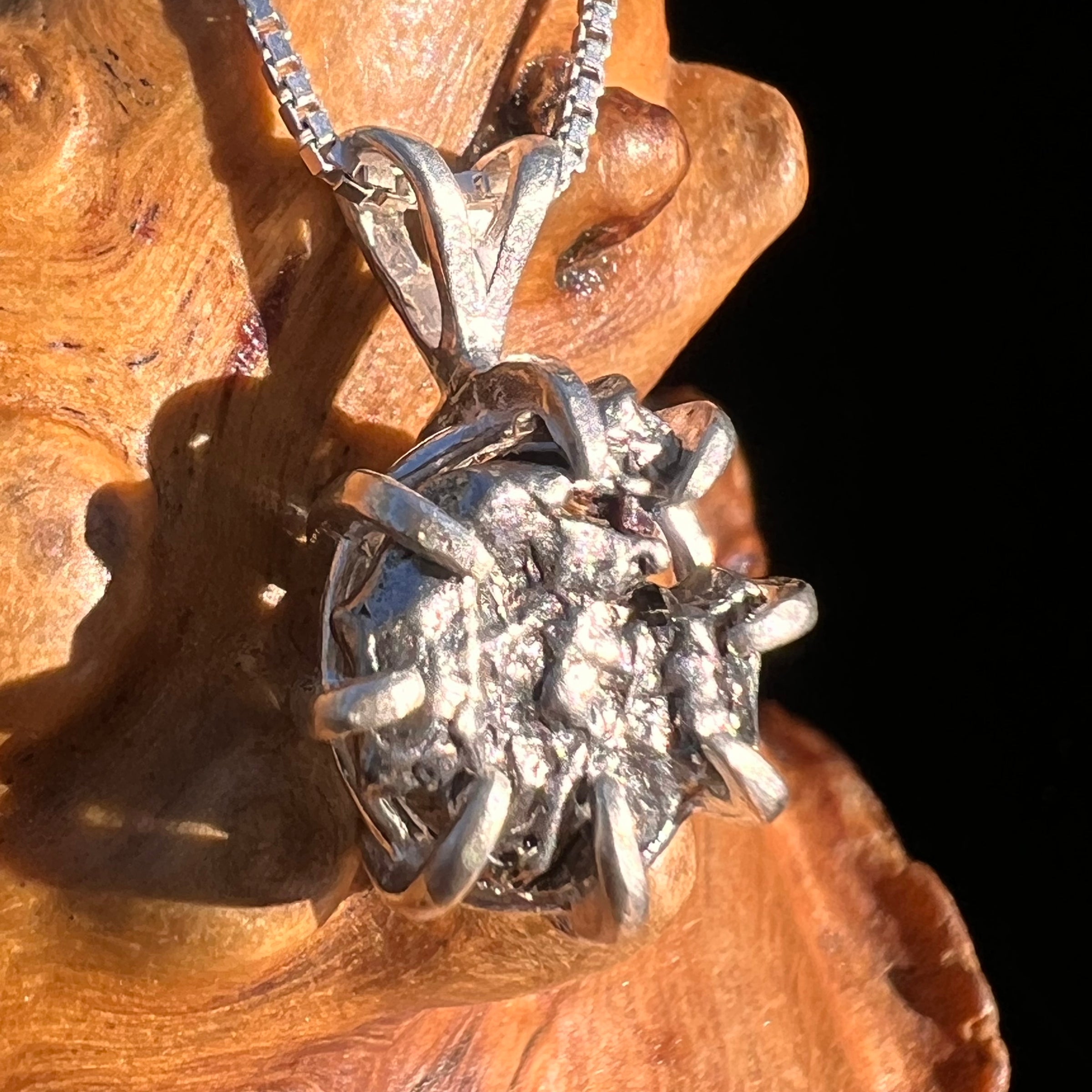 Campo Del Cielo Meteorite Pendant Sterling #7367-Moldavite Life